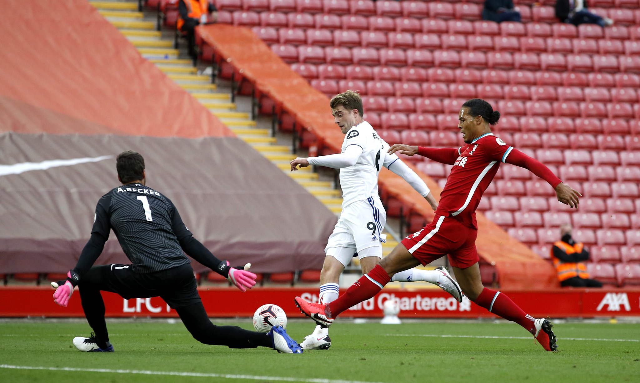 层中建立了 层中建立了